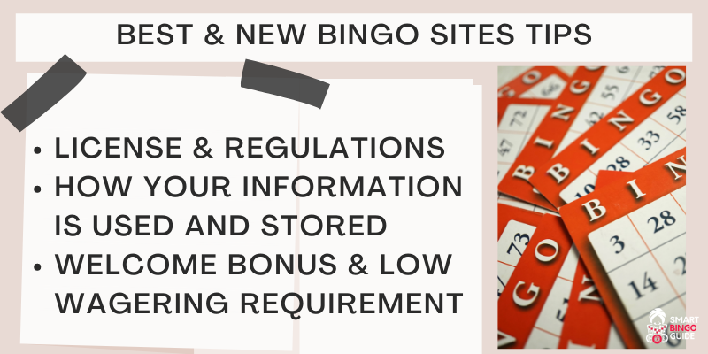 Different Types Of Bingo Games Explained: Play The Best Online