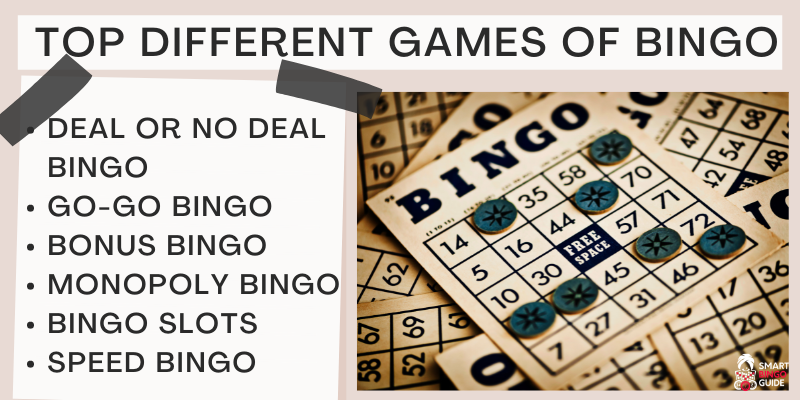 Different Types Of Bingo Games Explained: Play The Best Online